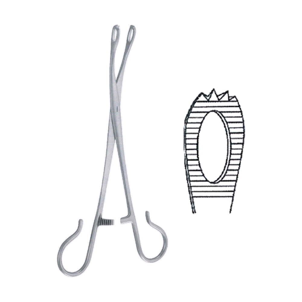 Blohmke Tonsil Forceps 20 cm, 8" (MB10-322)