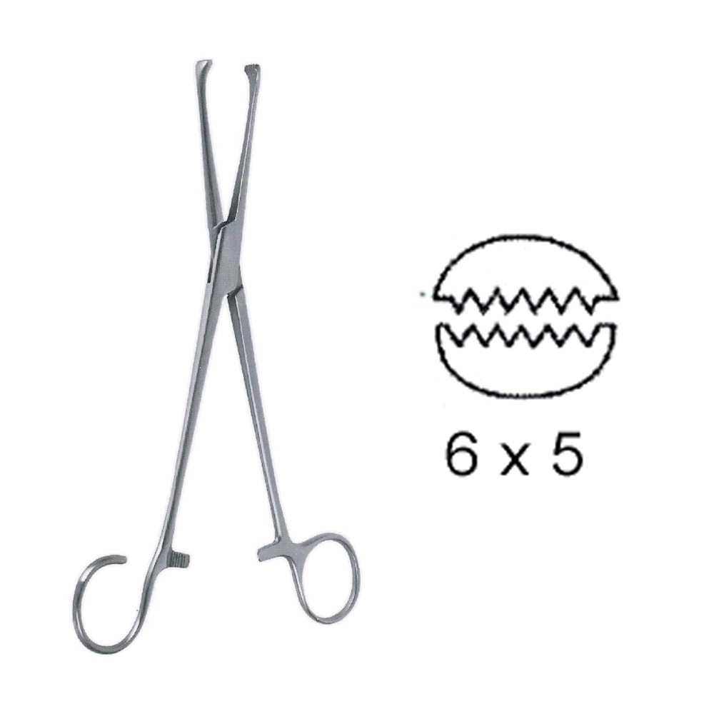 Colver Tonsil Forceps 19 cm, 7 1/2", Curved (MB10-324)
