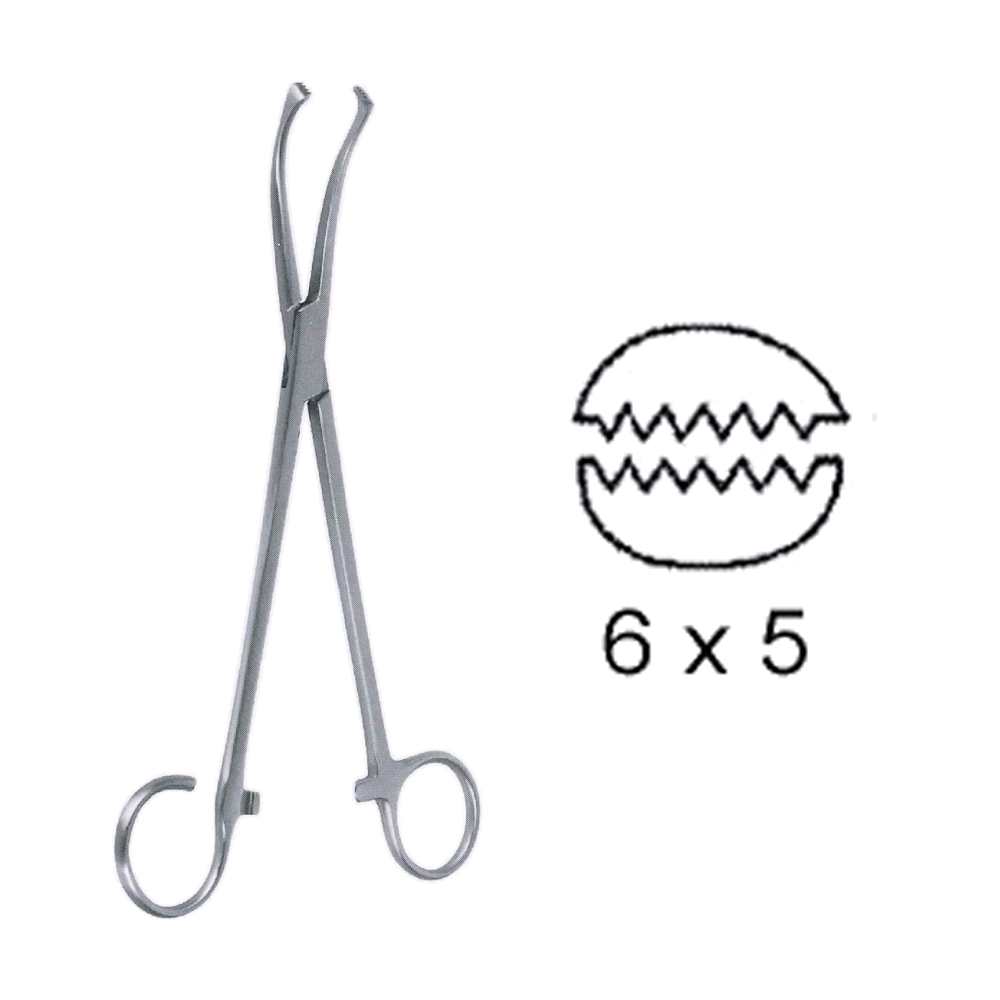 White Tonsil Seizing Forceps 23 cm, 9" (MB10-326)