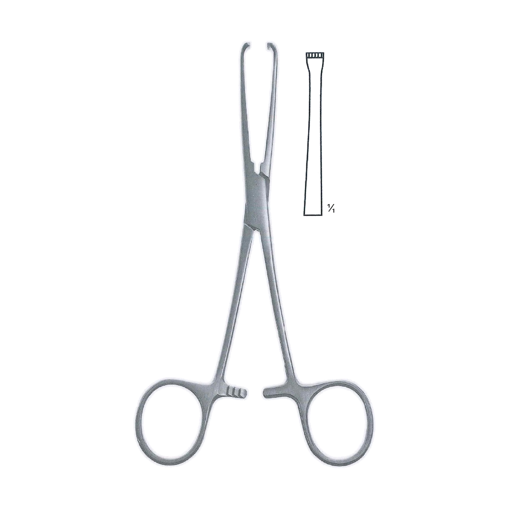 Allis Tissue Forceps 15.5 cm, 6", 3x4 Teeth (MB12-001)