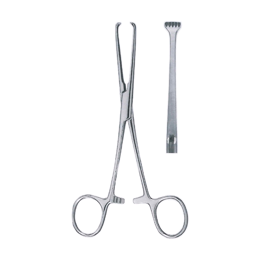 Boys-Allis Tissue Forceps 15 cm, 6", 5x6 Teeth, Sharp (MB12-010)