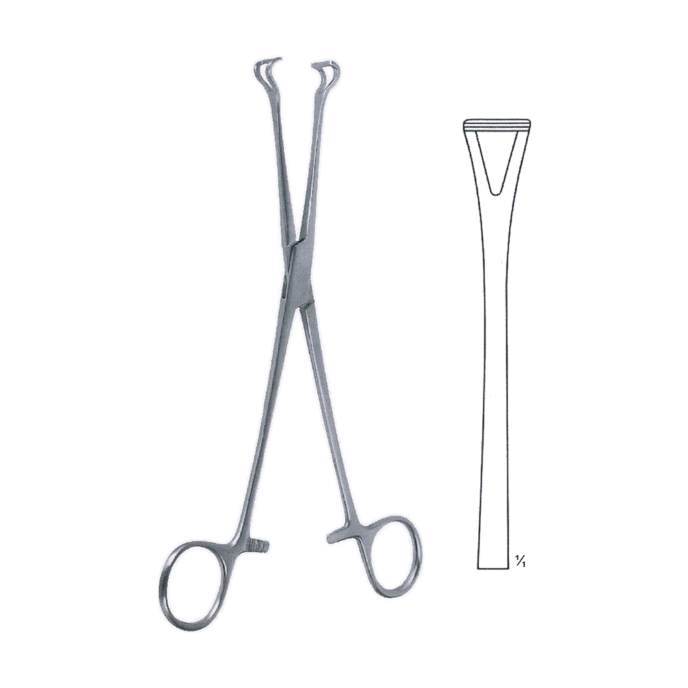 Babcock Seizing Forceps 21.5 cm, 8 1/2" (MB12-016)