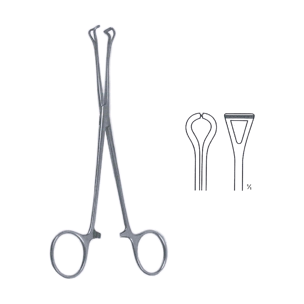 Babcock Tissue Grasping Forceps 21.5 cm, 8 1/2" (MB12-021)