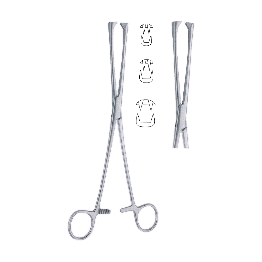 Museux Tenaculum Forceps 24.0 cm, 9 1/2″ – 8 mm (MB13-282)