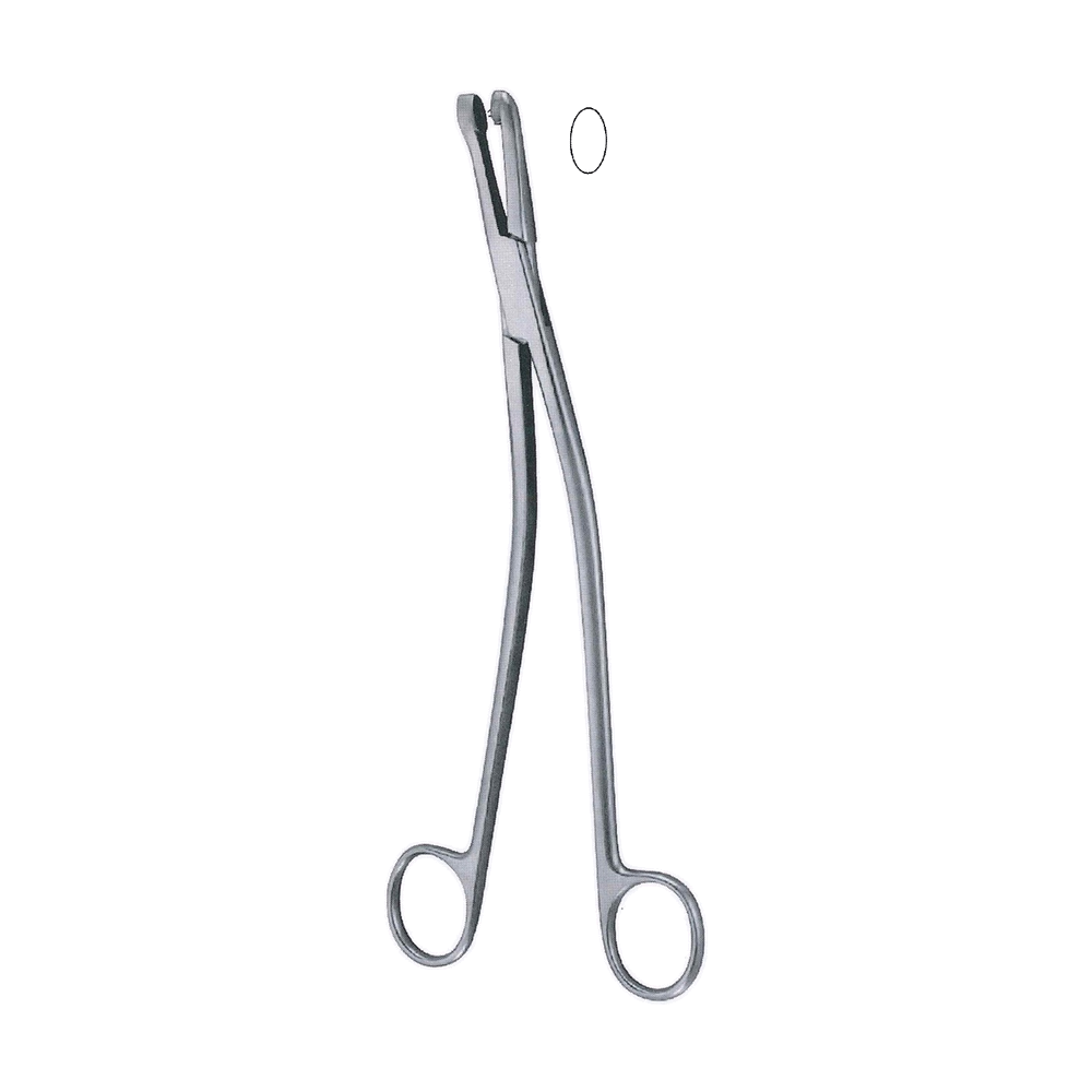 Gellhorn Biopsy Forceps 23.0 cm, 9″ (MB13-291)
