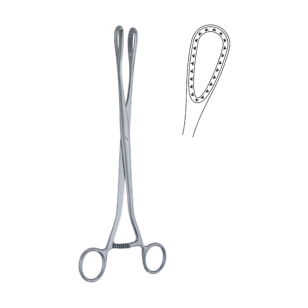 Saenger Abortion Forceps 27.0 cm, 10 3/4″ – Curved (MB13-548)