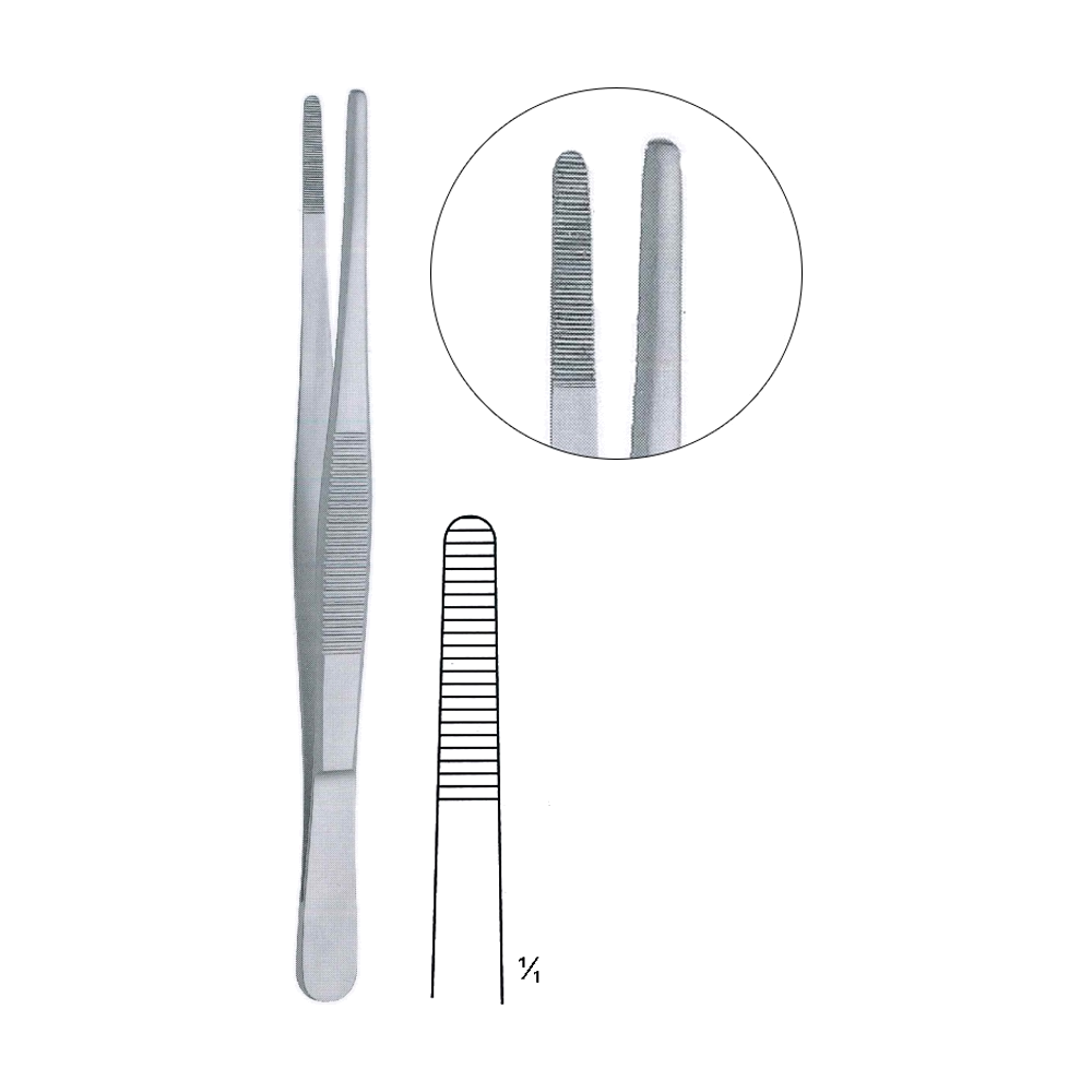 Standard Dressing Forceps 18 cm, 7", Serrated (MB5-006)
