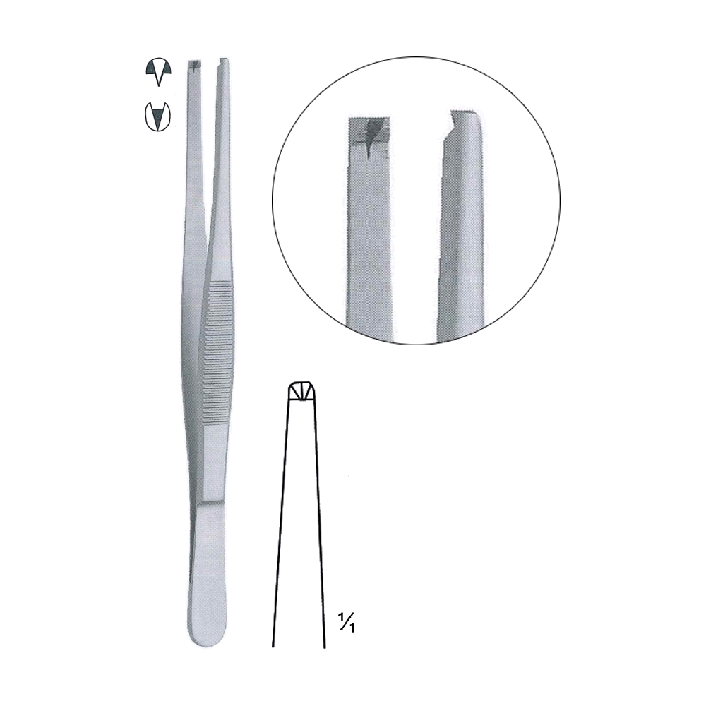 Standard Tissue Forceps 1x2 Teeth 14.5 cm, 5 1/2" (MB5-013)