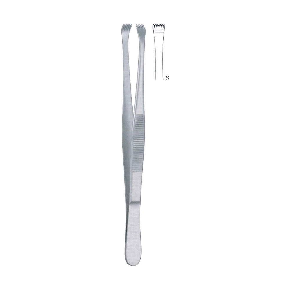 Lerche Tissue Forceps 5x6 Teeth 15 cm, 6" (MB5-083)
