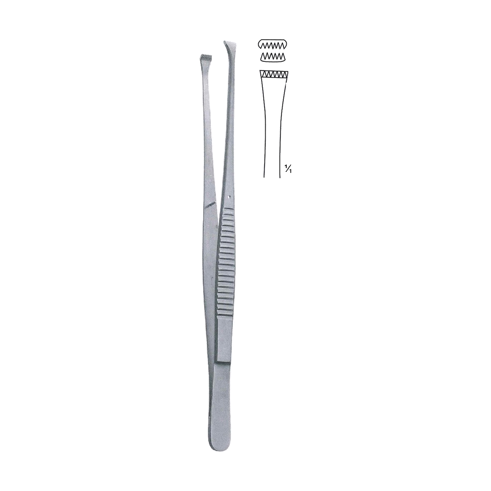 Nelson Tissue Forceps 6x7 Teeth 23 cm, 9" (MB5-154)