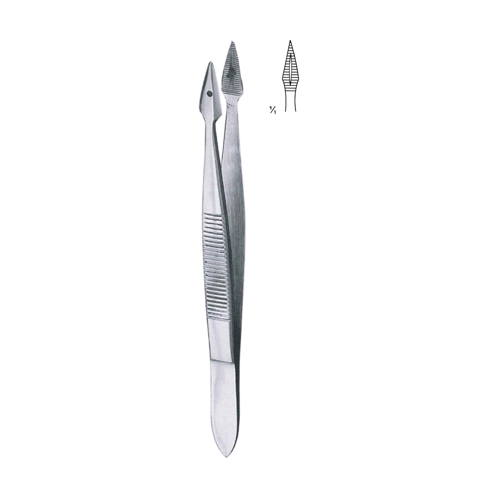 Hunter Forceps 10.5 cm, 4", Straight (MB5-295)