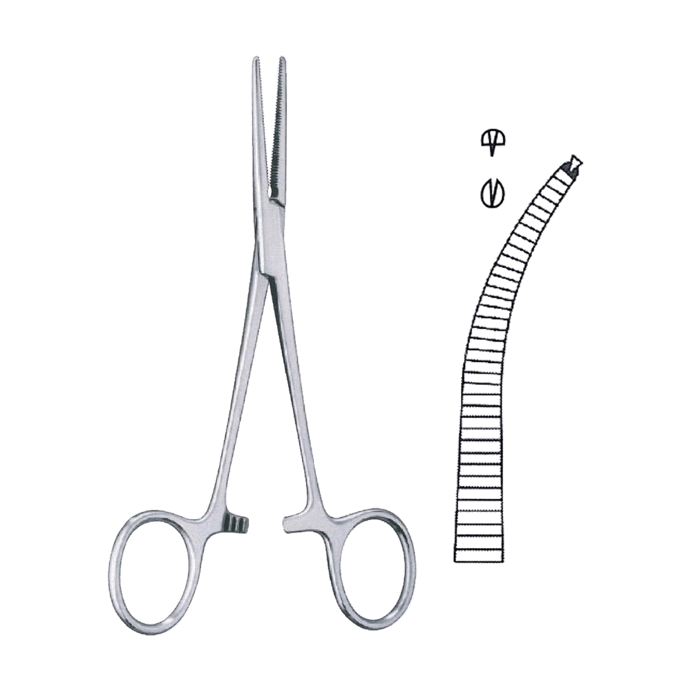 Crile Haemostatic Fine Point Tissue Forceps (Rat Tooth 1x2 Teeth) 14 cm, 5 1/2", Curved (MB6-032)