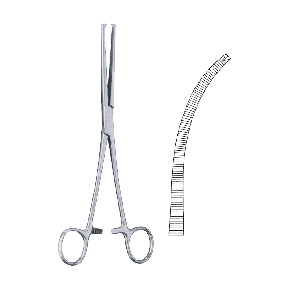 Kocher-Ochsner Haemostatic Forceps 24 cm, 9 1/2", Curved 1x2 Teeth (MB6-116)