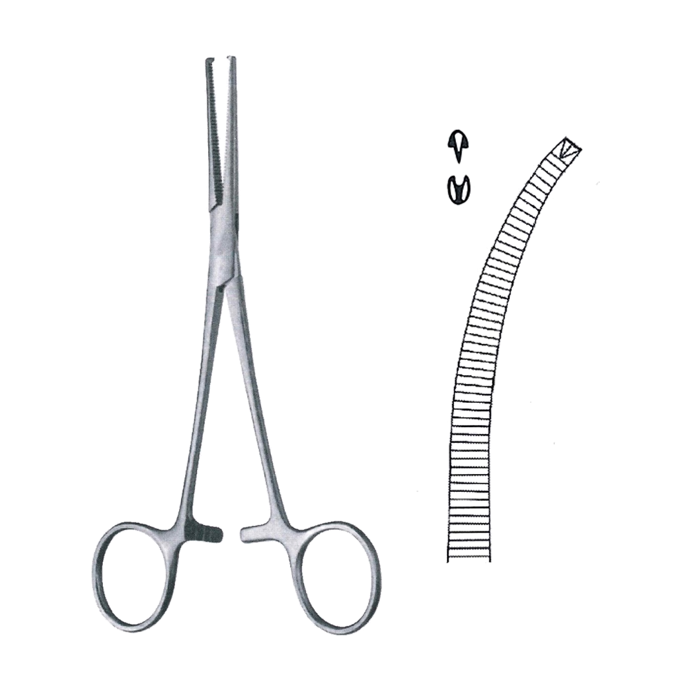 Dixon-Lovelace Haemostatic Tissue Forceps 1x2 Teeth 15.5 cm, 6", Curved (MB6-164)