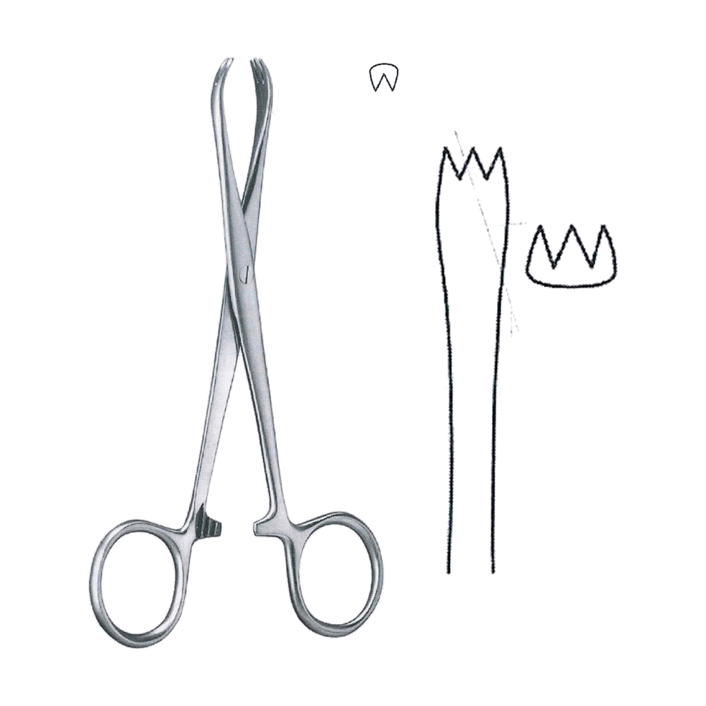 Chaput Haemostatic Forceps 13 cm, 5" (MB6-262)