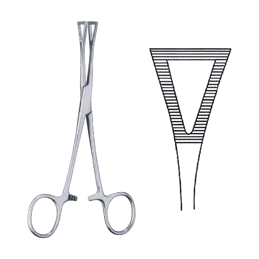 Pennington / Seizing Haemostatic Forceps 15 cm, 6", Straight (MB6-266)