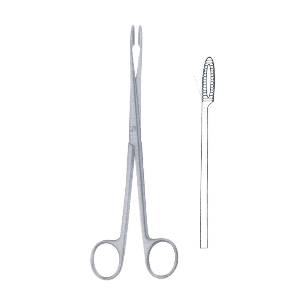 Gross Maier Sponge & Dressing Forceps 20.5 cm, 8", Without Ratchet (MB6-279)