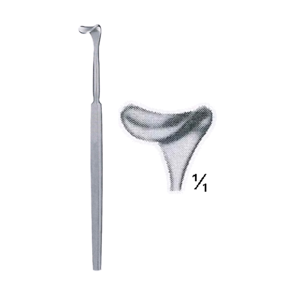 Desmarres Lid Retractor 16 cm, 6 1/4", 9 x 10 mm (MB8-149)