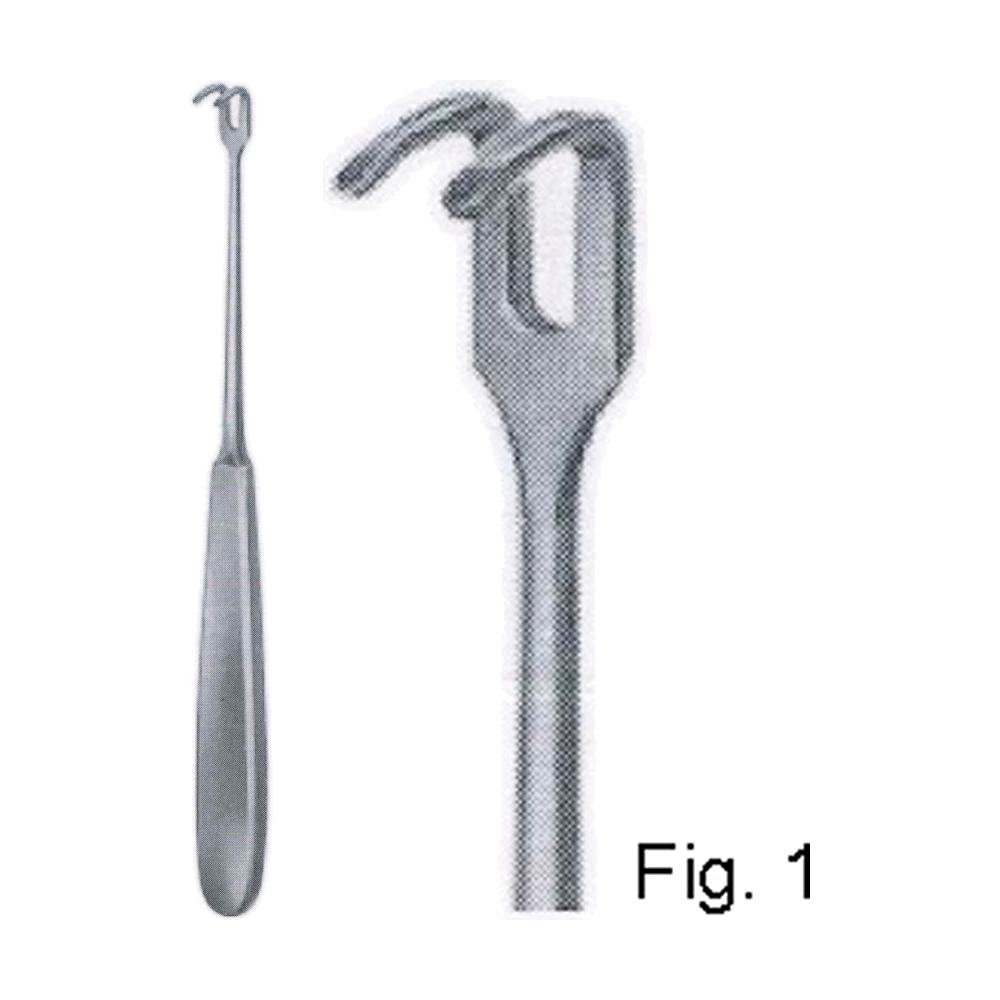 Tendon Hooks Retractor 17.5 cm, 7", 12 x 6 mm, Fig. 1 (MB8-242)