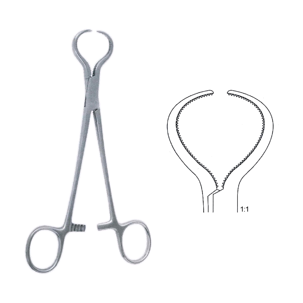 Lewin Perforating Bone Holding Forceps 17.5 cm, 7", Serrated (MB9-828)