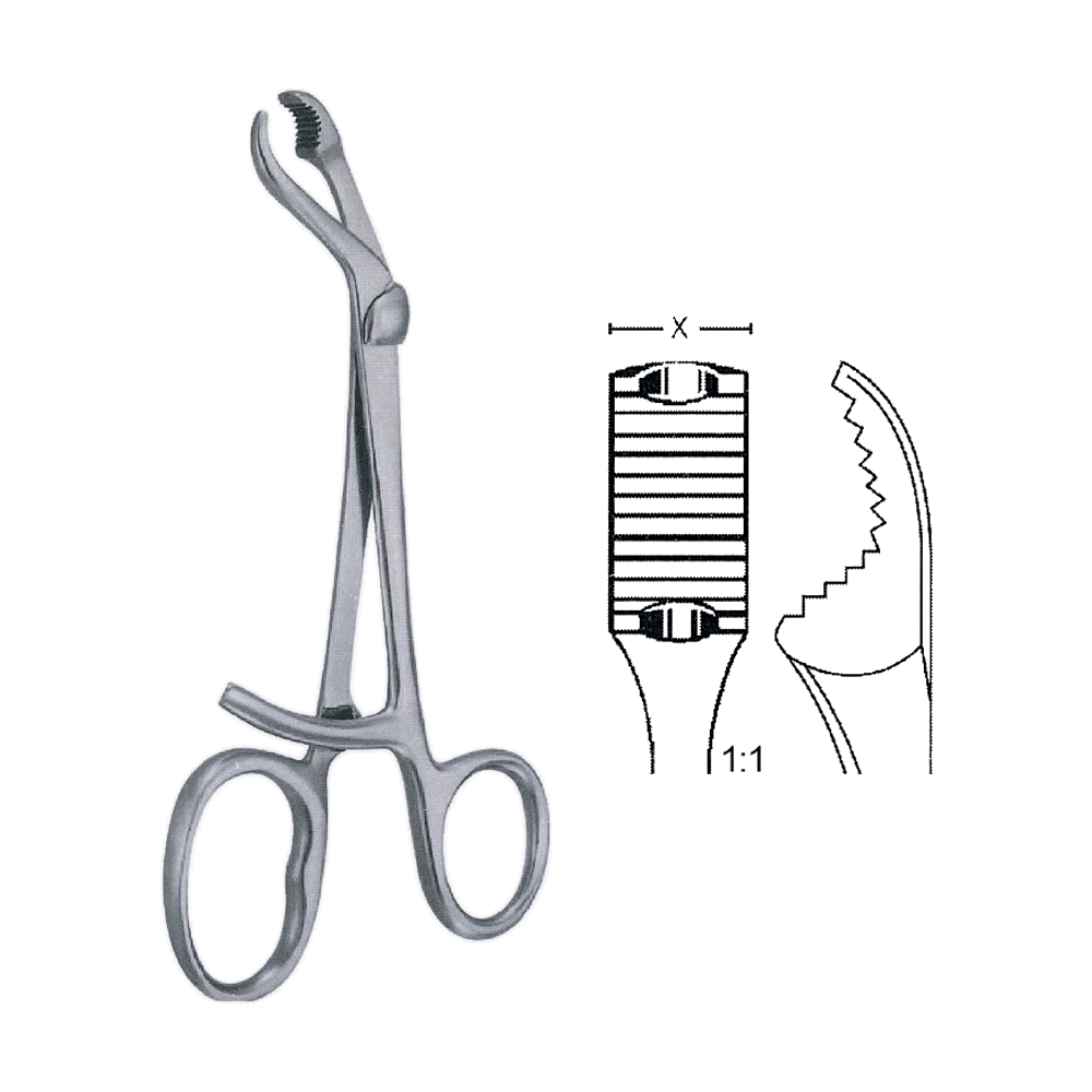 Verbrugge Bone Holding Forceps 25 cm, 10", 9.5 mm (MB9-902)