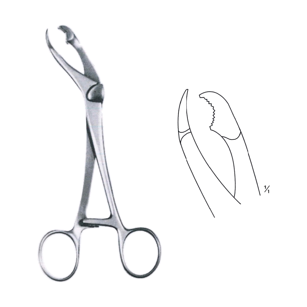 Verbrugge Bone Holding Forceps 18 cm, 7" (MB9-916)