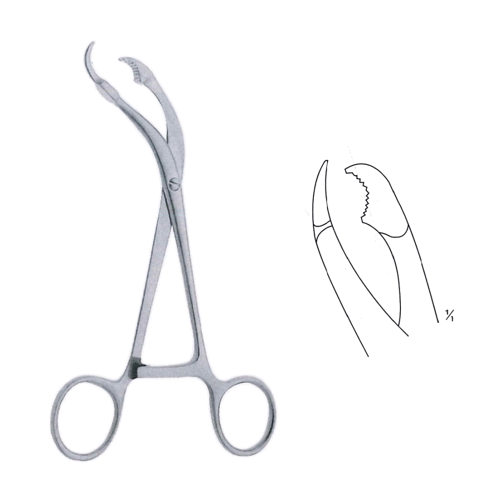 Verbrugge Bone Holding Forceps 18 cm, 7" (MB9-917)